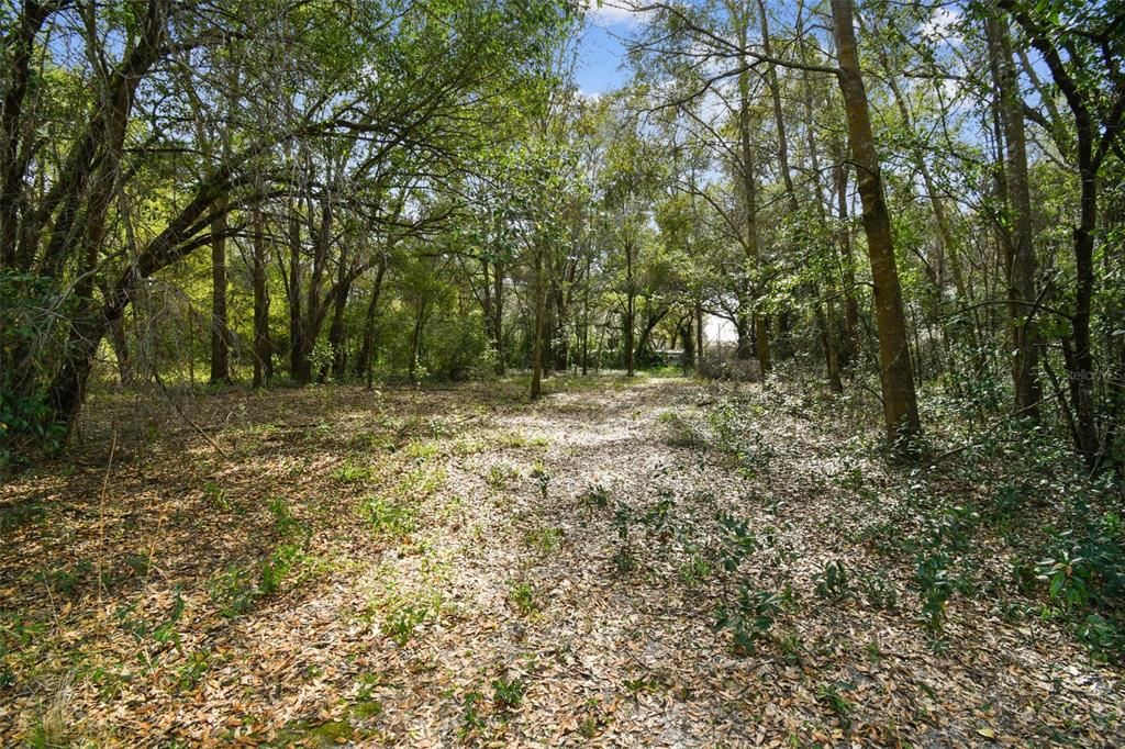 Active With Contract: $825,000 (5.00 acres)