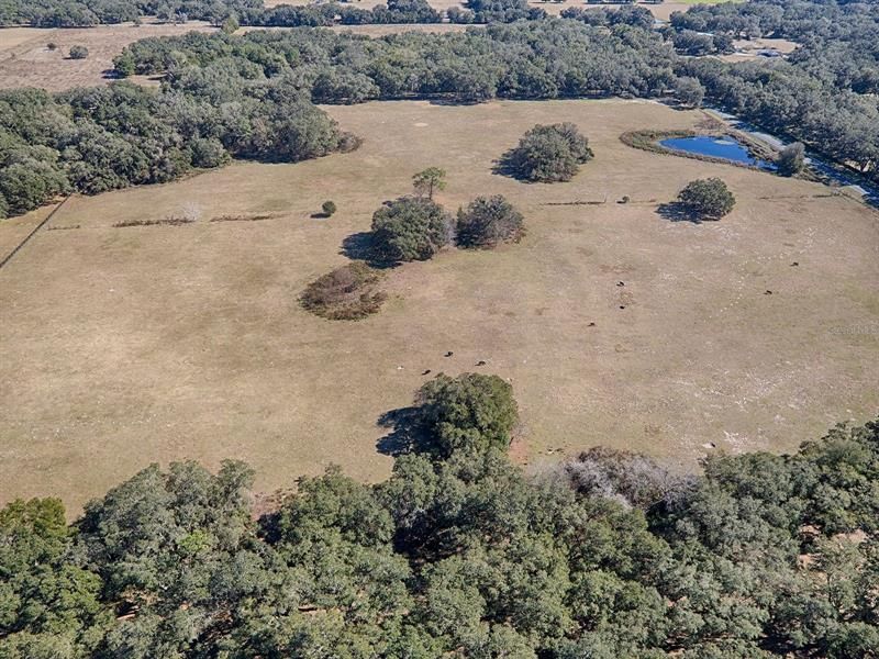 Recently Sold: $1,306,000 (39.00 acres)