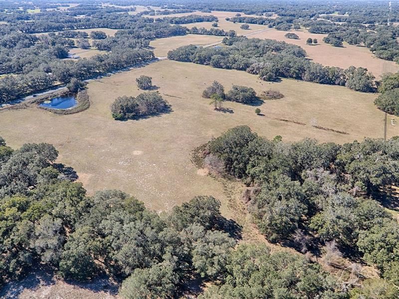 Recently Sold: $1,306,000 (39.00 acres)