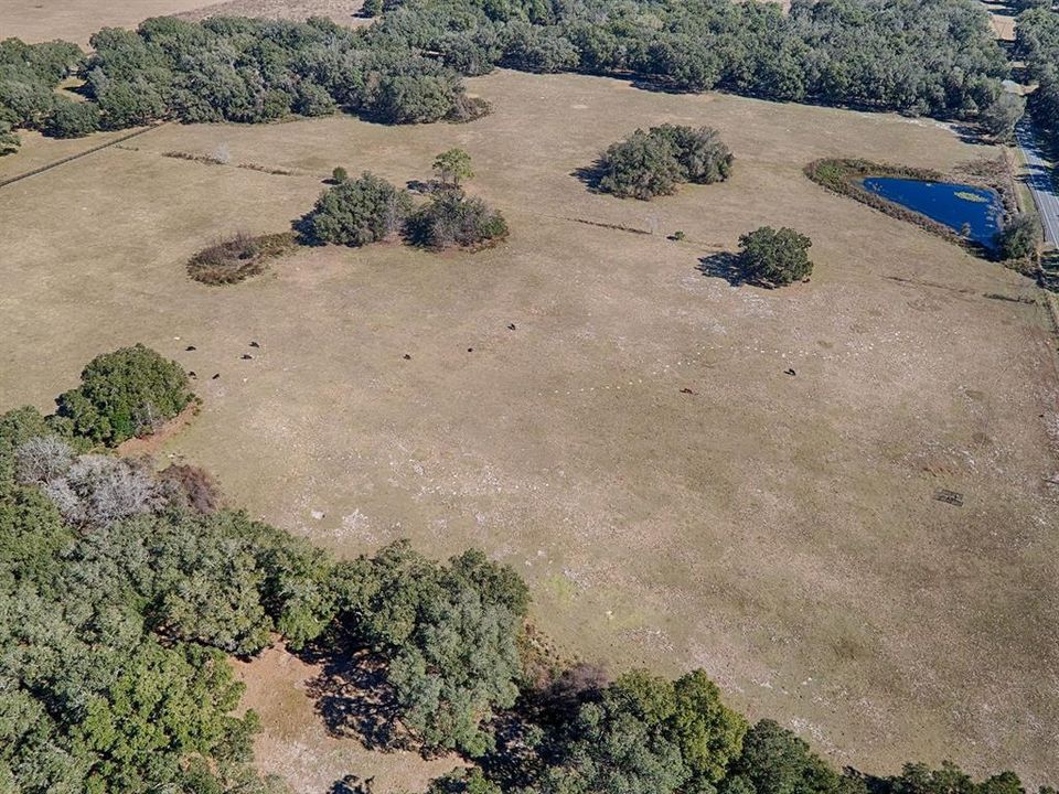 Recently Sold: $1,306,000 (39.00 acres)