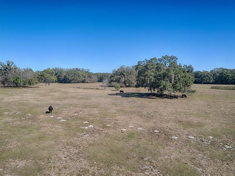 Recently Sold: $1,306,000 (39.00 acres)