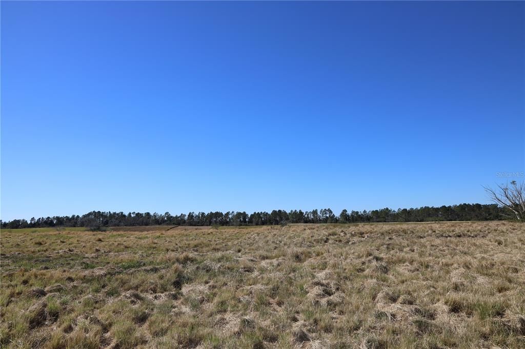 Active With Contract: $92,000 (5.02 acres)