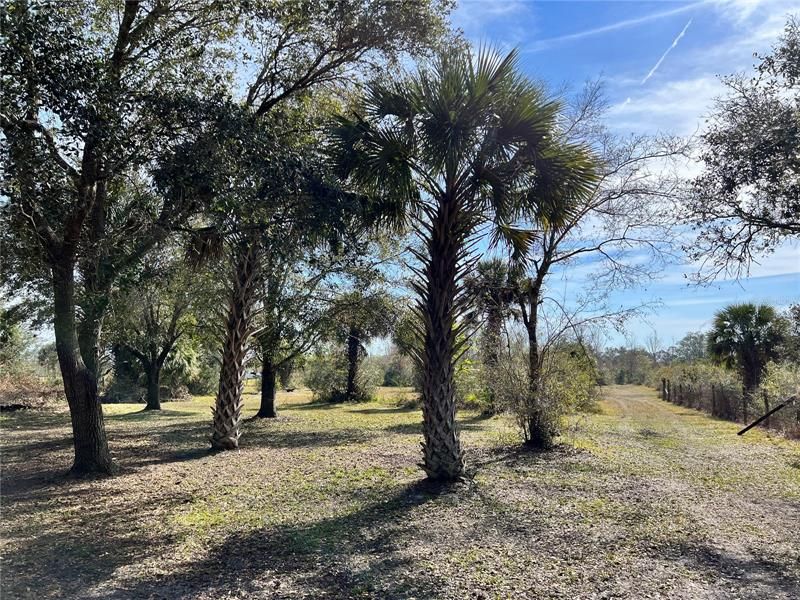 Recently Sold: $225,000 (6.25 acres)