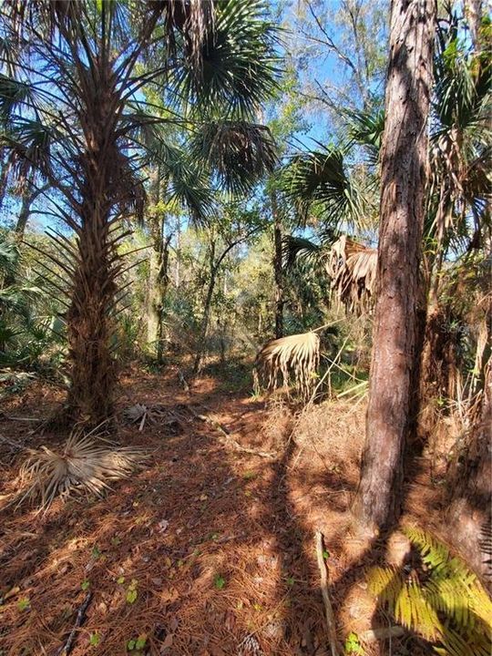 待售: $2,499,000 (14.10 acres)