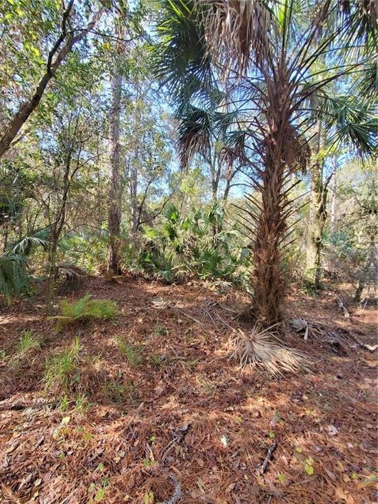 待售: $2,499,000 (14.10 acres)