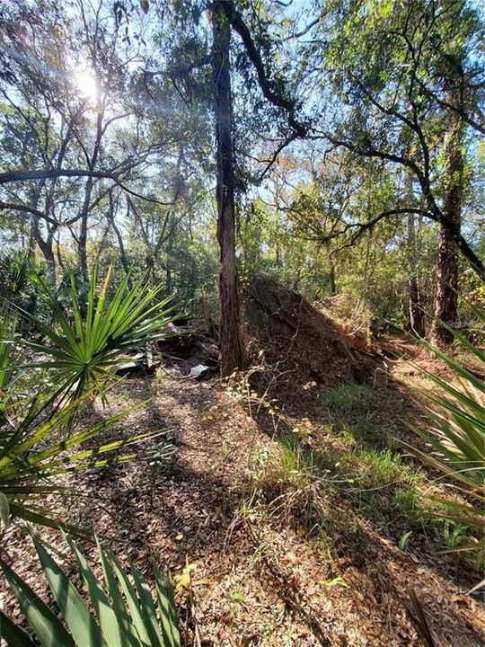 На продажу: $2,499,000 (14.10 acres)