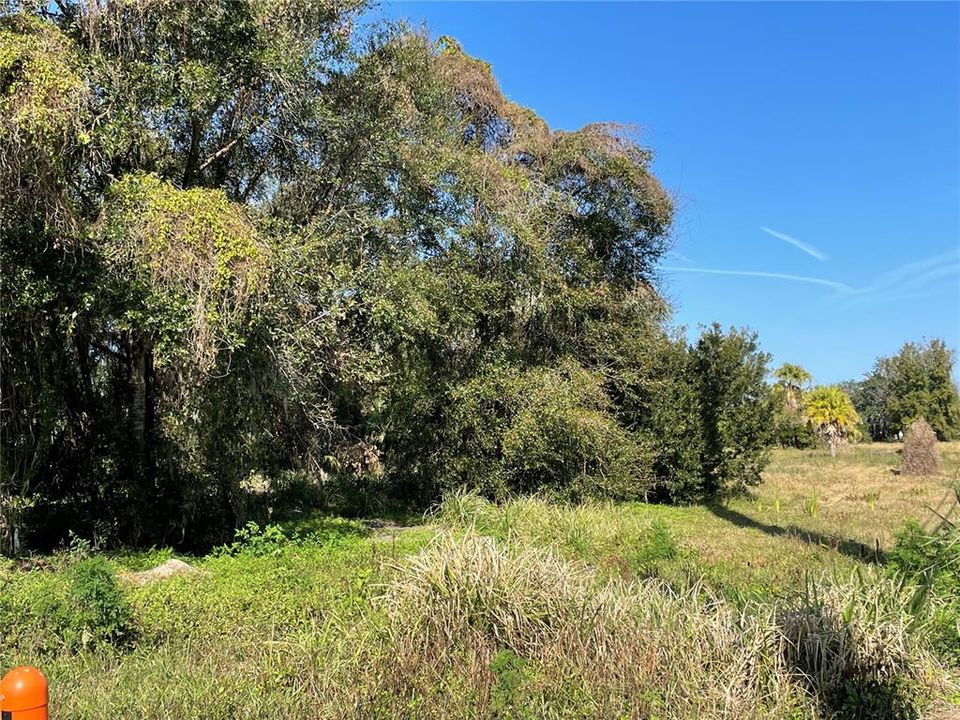 合同活跃: $650,000 (1.46 acres)