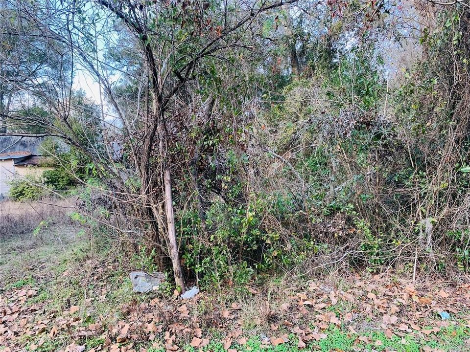 Recently Sold: $34,990 (0.23 acres)