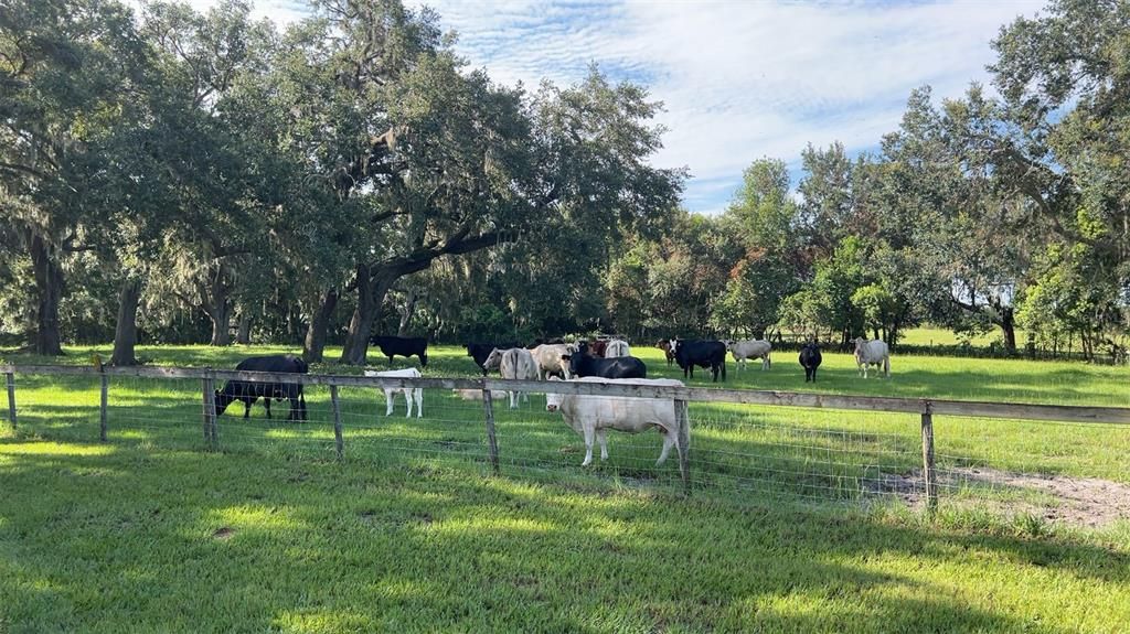 For Sale: $2,300,000 (3 beds, 2 baths, 2240 Square Feet)