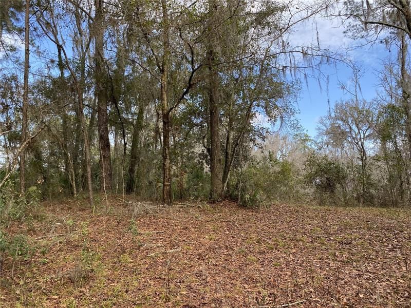 Recently Sold: $40,000 (3.00 acres)