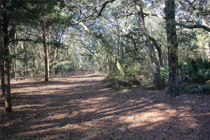 Recently Sold: $125,000 (5.28 acres)