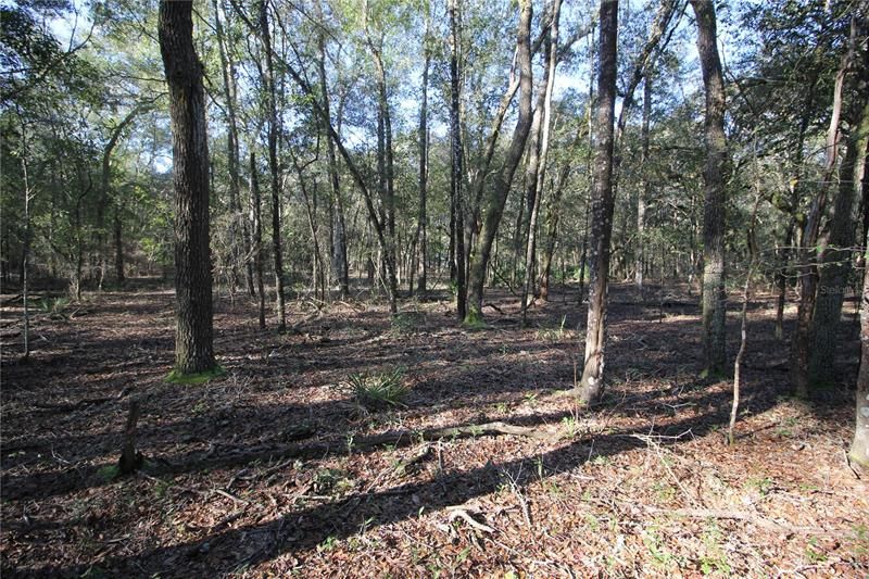 Recently Sold: $125,000 (5.28 acres)