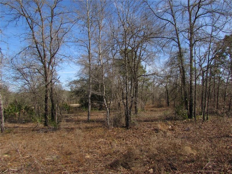 Recently Sold: $69,900 (5.14 acres)