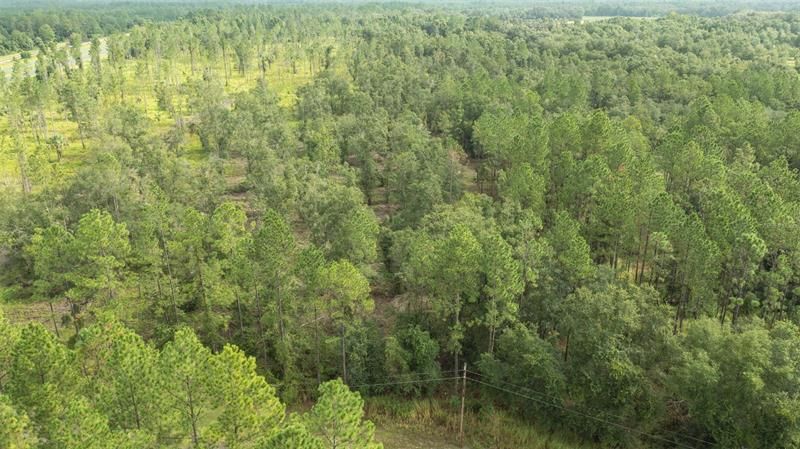 Недавно продано: $69,950 (6.81 acres)