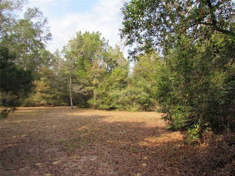 Recently Sold: $14,900 (0.23 acres)