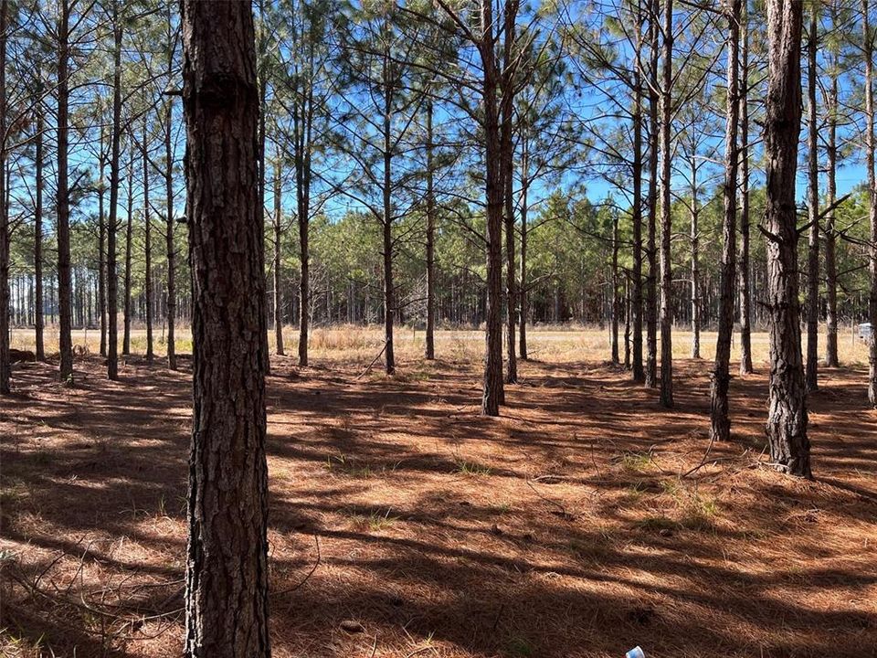 Recently Sold: $279,900 (20.00 acres)