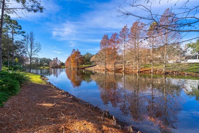 Pond View