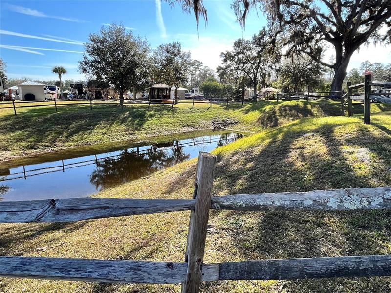 small pond behind property