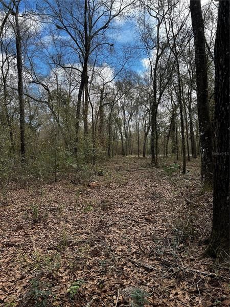 Recently Sold: $59,000 (5.37 acres)