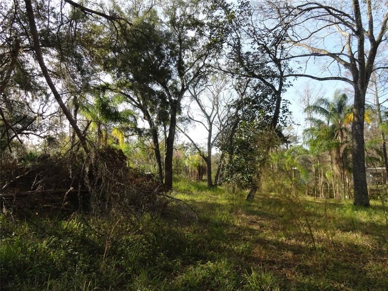Recently Sold: $160,000 (1.16 acres)