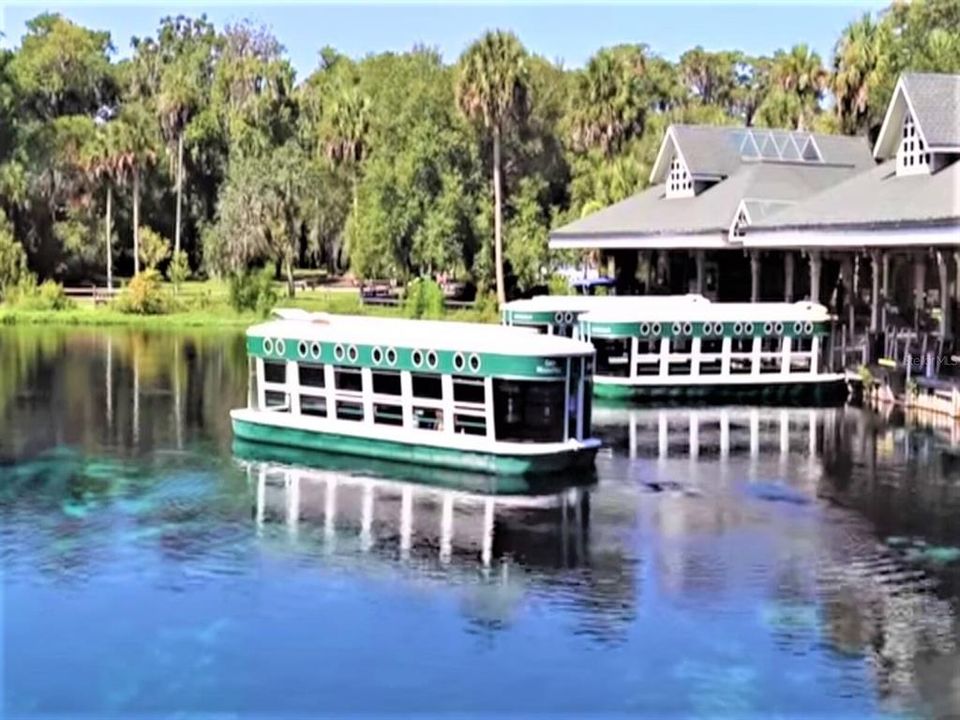 Silver Springs - Glass Bottom Boats