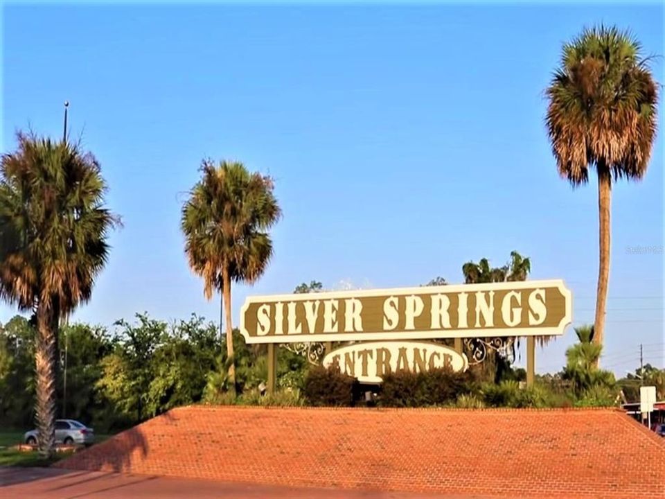 World renowned Silver Springs State Park