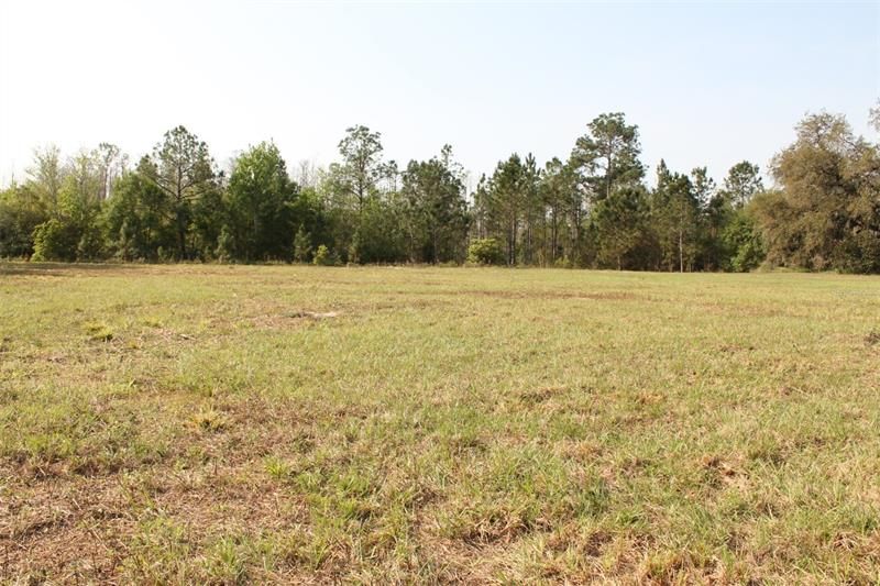 For Sale: $139,000 (3.53 acres)