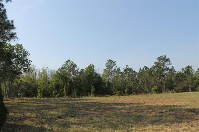 For Sale: $139,000 (3.53 acres)