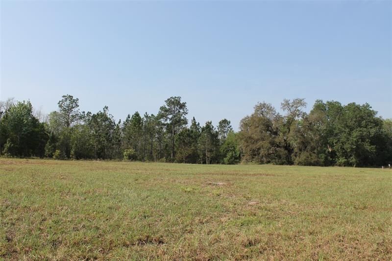 For Sale: $139,000 (3.53 acres)