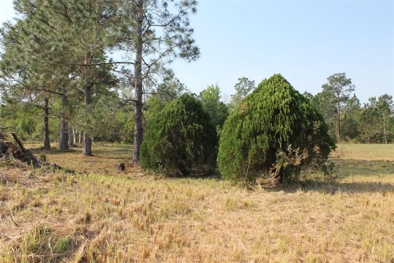 En Venta: $139,000 (3.53 acres)