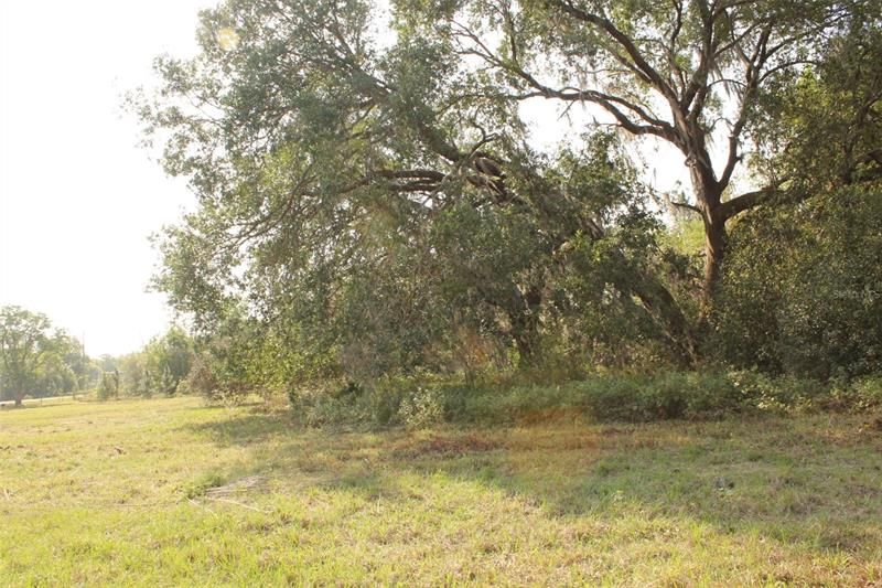 For Sale: $139,000 (3.53 acres)