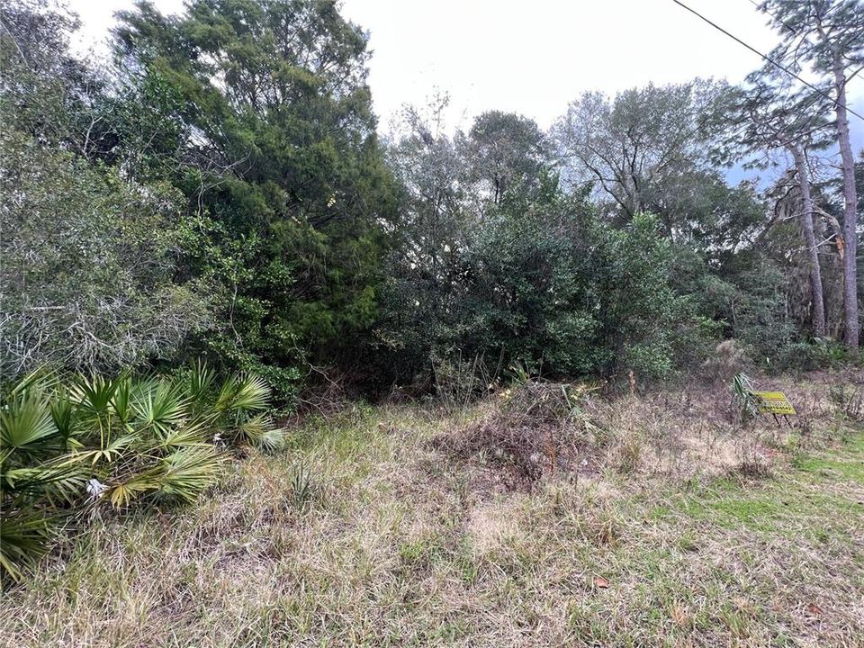 Recently Sold: $10,950 (0.33 acres)