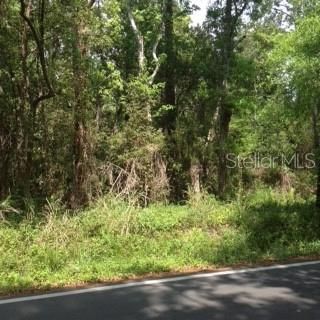 Recently Sold: $30,000 (0.31 acres)