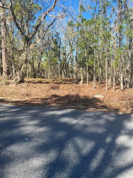 Recently Sold: $29,900 (0.23 acres)