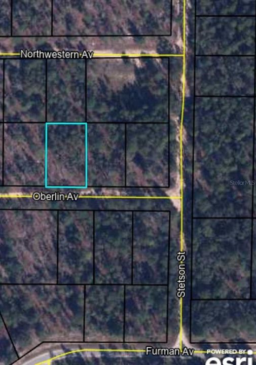 Recently Sold: $6,999 (0.36 acres)