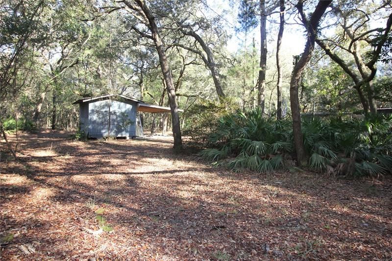 Storage Shed