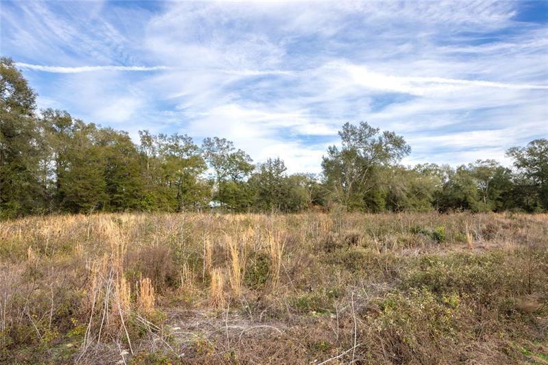 Recently Sold: $75,000 (1.92 acres)