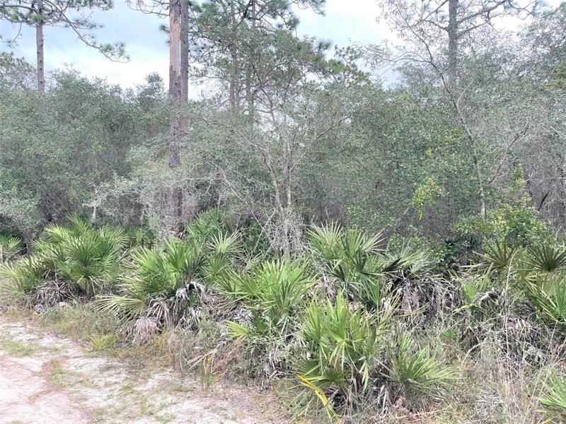 Vendido Recientemente: $39,900 (2.27 acres)