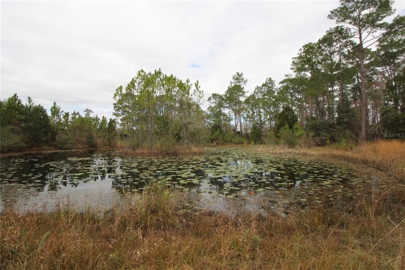 Recently Sold: $90,000 (5.00 acres)