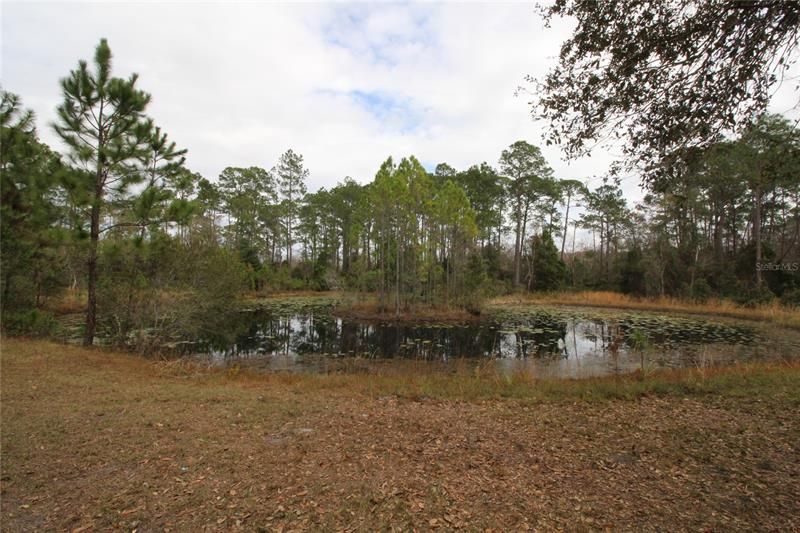 Recently Sold: $90,000 (5.00 acres)