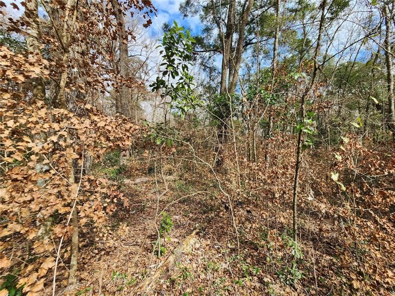 Recently Sold: $39,900 (0.92 acres)