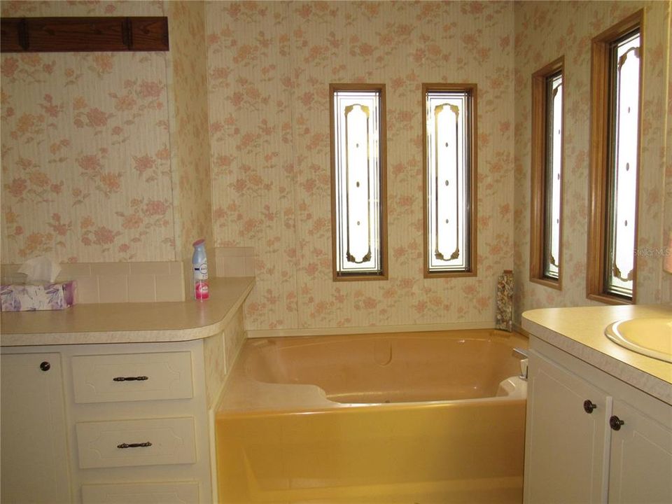 GARDEN TUB MASTER BATHROOM