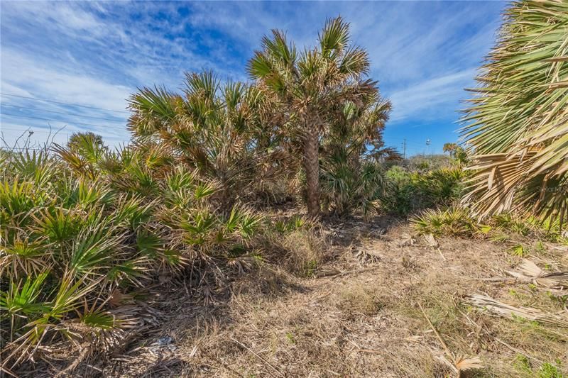 Recently Sold: $999,000 (0.89 acres)