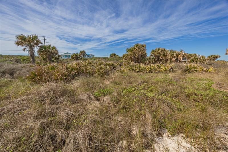 Dunes between the lot and the beach.