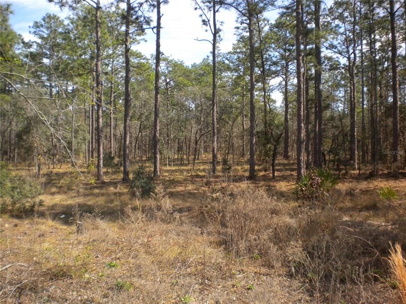 Recently Sold: $39,995 (2.00 acres)