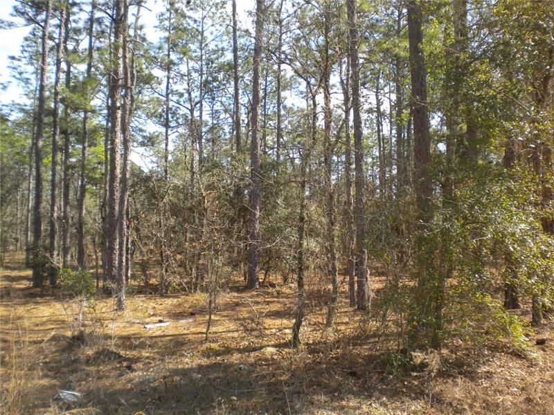 Recently Sold: $39,995 (2.00 acres)