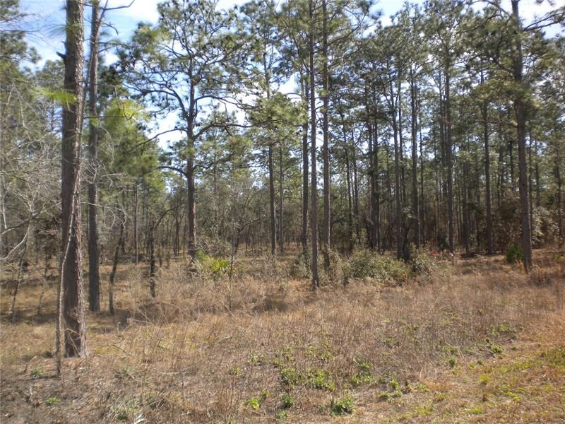 Recently Sold: $39,995 (2.00 acres)