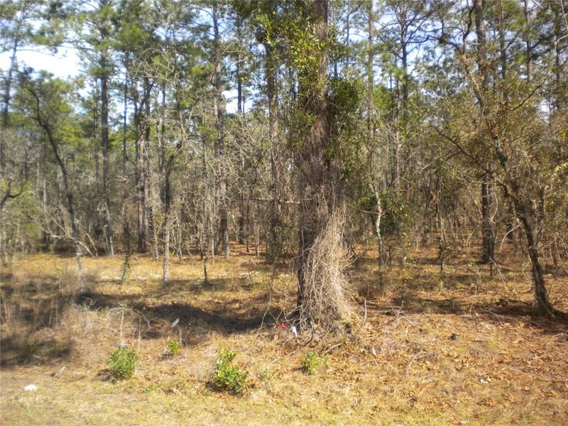 Recently Sold: $39,995 (2.00 acres)