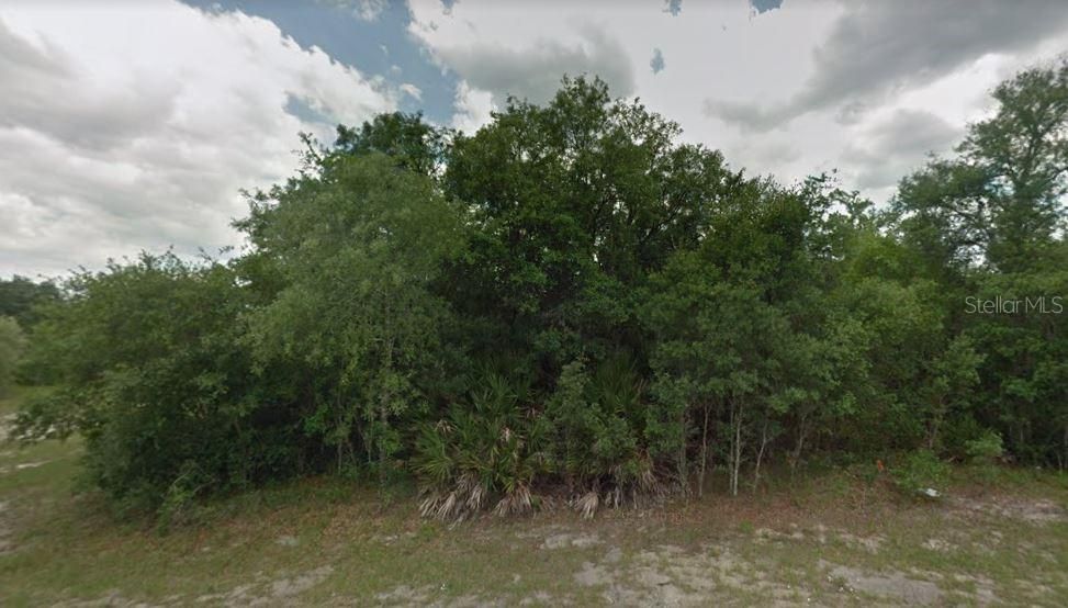 For Sale: $44,950 (0.30 acres)