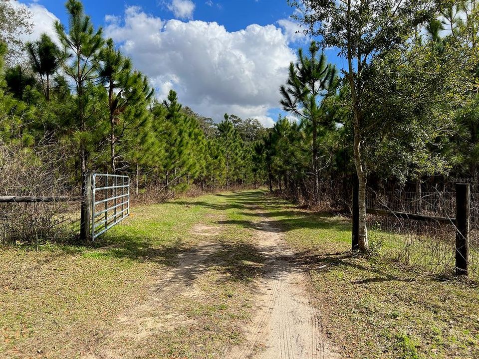 Gated access to the property down a tree-lined driveway to the single family home.